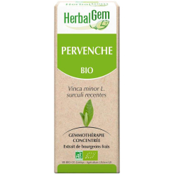 Pervenche bourgeon Bio - Vinca minor Macérat - 50 ml Bio - Herbalgem - Gemmothérapie - 2