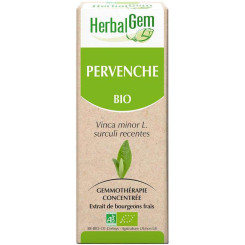 Pervenche bourgeon Bio - Vinca minor Macérat - 30 ml Bio - Herbalgem - Gemmothérapie - 2