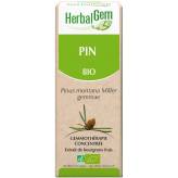 Pin bourgeon 50 ml Bio - Pinus montana Macérat - Herbalgem - Gemmothérapie - 2