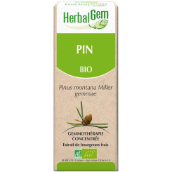 Kiefernknospen 50 ml Bio - Pinus montana Mazerat - Herbalgem - Gemmotherapie - 2