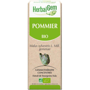 Pommier bourgeon Bio - Malus communis Macérat - 15 ml - Herbalgem - 1 - Herboristerie du Valmont