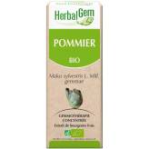 Pommier bourgeon Bio - Malus communis Macérat - 50 ml - Herbalgem - 1 - Herboristerie du Valmont