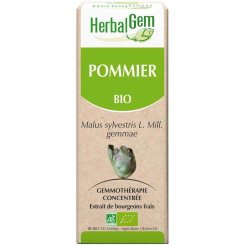Pommier bourgeon Bio - Malus communis Macérat - 50 ml - Herbalgem - Gemmothérapie - 2