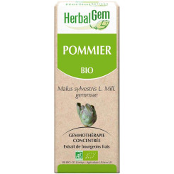Pommier bourgeon Bio - Malus communis Macérat - 30 ml - Herbalgem - Gemmothérapie - 2