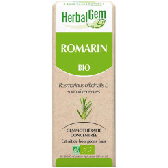 Romarin bourgeon Bio - Rosmarinus officinalis Macérat 30 ml Herbalgem - Gemmothérapie - 2