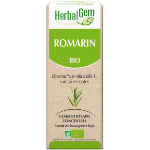 Romarin bourgeon Bio - Rosmarinus officinalis Macérat 50 ml Herbalgem - 1 - Herboristerie du Valmont