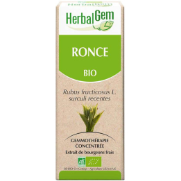 Bio Brombeerknospenmazerat - Rubus fructicosus - 50 ml - Hebalgem - Gemmotherapie - 1