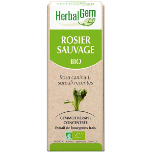 Rosier sauvage bourgeon Bio - Rosa canina Macérat - 50 ml - Herbalgem - 1 - Herboristerie du Valmont Rosier sauvage bourgeon Bio - Rosa canina Macérat - 50 ml - Herbalgem - 1 - Herboristerie du Valmont