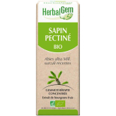 Sapin pectiné bourgeon Bio - Abies alba Macérat - 50 ml  - Herbalgem - Gemmothérapie - 2