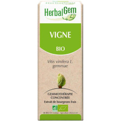 Vigne bourgeon 50 ml Bio - Herbalgem - Les bourgeons unitaires - 2