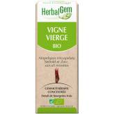 Vigne vierge bourgeon Bio -  Ampelopsis veitchii Macérat - 50 ml - Herbalgem - 1 - Herboristerie du Valmont