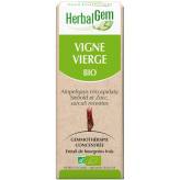 Vigne vierge bourgeon Bio -  Ampelopsis veitchii Macérat - 30 ml - Herbalgem - Les bourgeons unitaires - 2