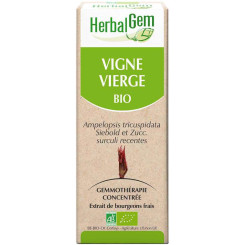 Vigne vierge bourgeon Bio -  Ampelopsis veitchii Macérat - 30 ml - Herbalgem - Les bourgeons unitaires - 2