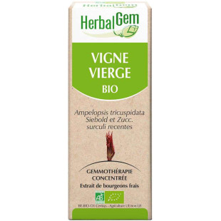 Vigne vierge bourgeon Bio - Ampelopsis veitchii Macérat - 50 ml - Herbalgem - <p>Ampelopsis veitchii - Macérat glycériné - Peti