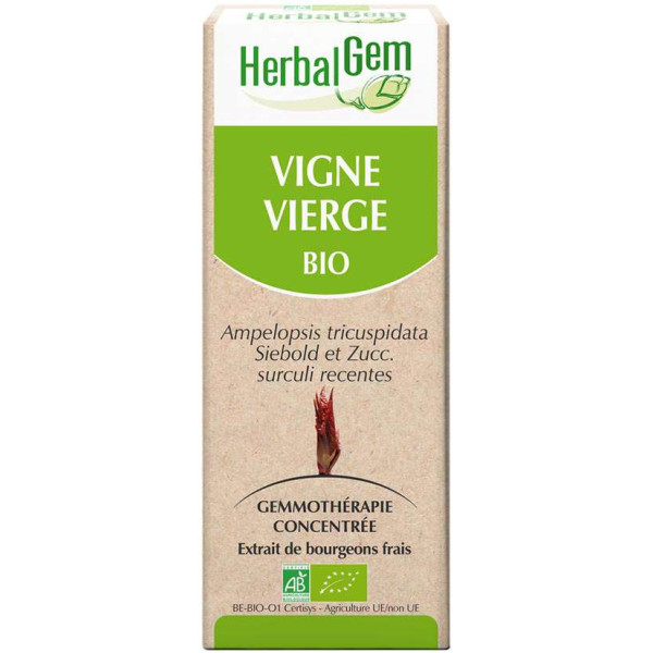 Vigne vierge bourgeon  50 ml Bio - Herbalgem