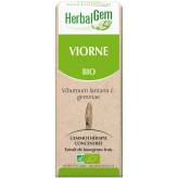 Viorne bourgeon Bio - Viburnum lantana Macérat - 15 ml - Herbalgem - 1 - Herboristerie du Valmont