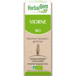 Viorne bourgeon Bio - Viburnum lantana Macérat - 50 ml - Herbalgem - Gemmothérapie - 2