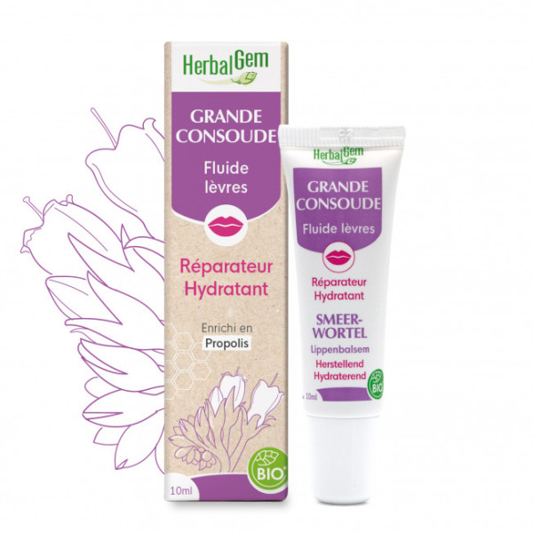 Baume à lèvres réparateur à la consoude Bio 10 ml - Herbalgem - Plaies, coups et hématomes - 1