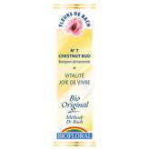 Chestnut Bud 20 ml - N° 7 - Fleurs de Bach bio -  Biofloral - Fleurs de Bach et élixirs floraux - 1-Chestnut Bud 20 ml - N° 7 - Fleurs de Bach bio -  Biofloral