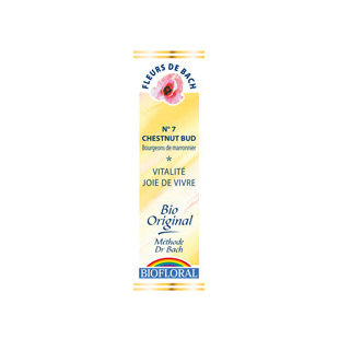 Chesnut Bud 20 ml - N° 7 - Fleurs de Bach bio - Biofloral - Fleurs de Bach et élixirs floraux - 1 Chesnut Bud 20 ml - N° 7 - Fleurs de Bach bio - Biofloral - Fleurs de Bach et élixirs floraux - 1
