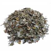Infusion de Saule - Bio - FC-Tisane Saule Salix Bio - Feuille
