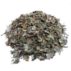 Infusion de Saule - Bio - FC