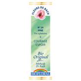 Pine 20 ml - N° 24 - Fleurs de Bach Bio - Biofloral - Fleurs de Bach et élixirs floraux - 1-Pine 20 ml - N° 24 - Fleurs de Bach Bio - Biofloral