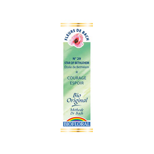 Star of Bethlehem 20ml - N° 29 - Fleurs de Bach Bio - Biofloral - 1 - Herboristerie du Valmont Star of Bethlehem 20ml - N° 29 - Fleurs de Bach Bio - Biofloral - 1 - Herboristerie du Valmont