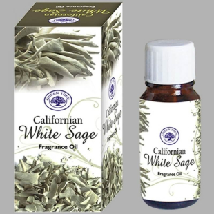 Sauge blanche - Huile de Parfum 10 ml - Green Tree - 1 - Herboristerie du Valmont Sauge blanche - Huile de Parfum 10 ml - Green Tree - 1 - Herboristerie du Valmont