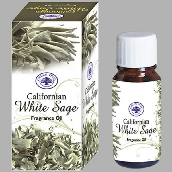 Sauge blanche - Huile de Parfum 10 ml - Green Tree - Encens, Résines Traditionnelles & Fumigation - 1