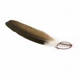 Plume de fumigation - Accessoire amérindien authentique - Encens, Résines Traditionnelles & Fumigation - 1-Plume de fumigation - Accessoire amérindien authentique