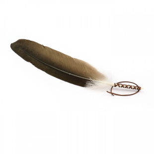 Plume de fumigation de Cathartes Aura 45-50 cm - Accessoire amérindien authentique - 1 - Herboristerie du Valmont Plume de fumigation de Cathartes Aura 45-50 cm - Accessoire amérindien authentique - 1 - Herboristerie du Valmont