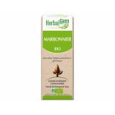 Marronnier bourgeon Bio - Aesculus hippocastanum Macérat - 50 ml - Herbalgem - Gemmothérapie - 2