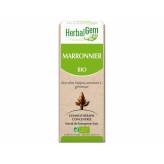 Marronnier bourgeon Bio - Aesculus hippocastanum Macérat - 30 ml - Herbalgem - Gemmothérapie - 2