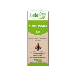 Marronnier bourgeon Bio - Aesculus hippocastanum Macérat - 30 ml - Herbalgem - Gemmothérapie - 2
