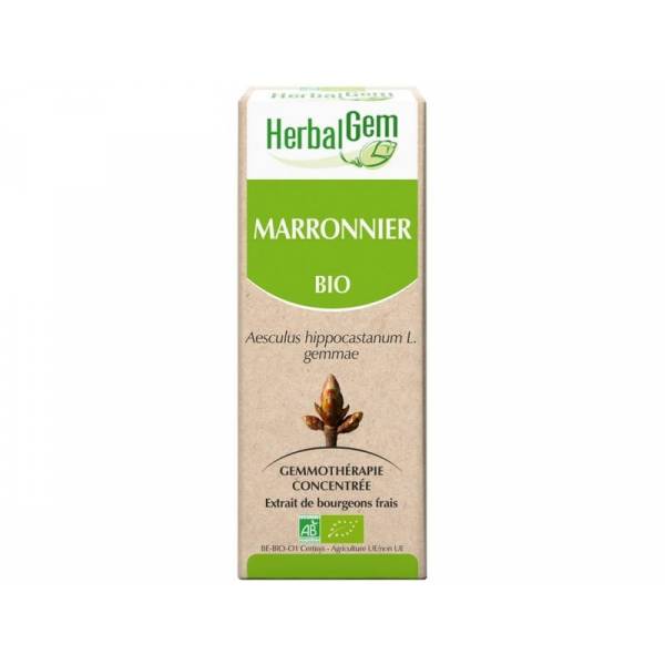 Marronnier bourgeon Bio - Aesculus hippocastanum Macérat - 15 ml - Herbalgem - 1 - Herboristerie du Valmont