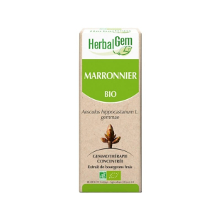 Marronnier bourgeon Bio - Aesculus hippocastanum Macérat - 15 ml - Herbalgem - 1 - Herboristerie du Valmont Marronnier bourgeon Bio - Aesculus hippocastanum Macérat - 15 ml - Herbalgem - 1 - Herboristerie du Valmont