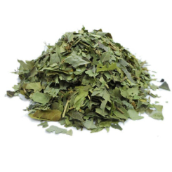 Kletter-Efeu-Infusion - FC