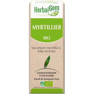 Myrtillier bourgeon Bio - Vaccinium myrtillus Macérat - 15 ml - Herbalgem - 1 - Herboristerie du Valmont