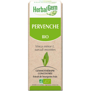 Pervenche bourgeon Bio - Vinca minor Macérat - 15 ml Bio - Herbalgem - 1 - Herboristerie du Valmont Pervenche bourgeon Bio - Vinca minor Macérat - 15 ml Bio - Herbalgem - 1 - Herboristerie du Valmont