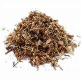 Infusion de Fragon Petit Houx Bio - RC-Tisane Fragon Petit Houx Bio - Racine coupée