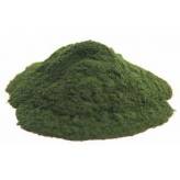 Chlorella - Chlorella Pyrenoidosa - Poudre Bio - Poudres de plantes médicinales en vrac - 1-Chlorella Poudre Bio