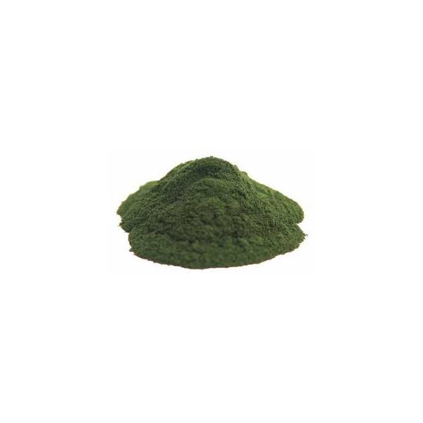 Chlorella - Chlorella Pyrenoidosa - Poudre Bio - Poudres de plantes médicinales en vrac - 1