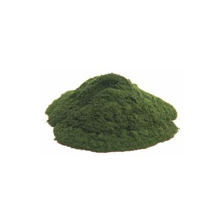 Chlorella - Chlorella Pyrenoidosa - Poudre Bio - Poudres de plantes médicinales en vrac - 1