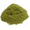 Moringa - Moringa oleifera - Poudre Bio - 1 - Herboristerie du Valmont-Moringa - Moringa oleifera - Poudre Bio