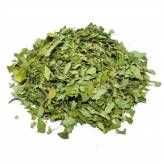 Moringa - Moringa oleifera - Feuille Bio - 1 - Herboristerie du Valmont