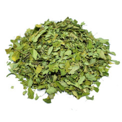 Moringa - Tisane Moringa oleifera - Feuille Bio - Plantes médicinales en vrac - Tisanes de plantes simples - 1