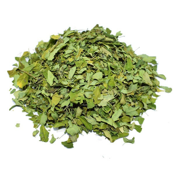 Infusion de Moringa Bio