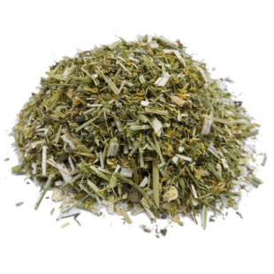 Mélilot - Melilotus officinalis - Plante coupée Bio - 1 - Herboristerie du Valmont Mélilot - Melilotus officinalis - Plante coupée Bio - 1 - Herboristerie du Valmont