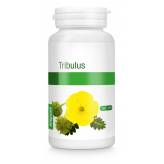 Tribulus 300 mg  90 capsules - Purasana - Extraits de plantes standardisés (EPS) + - 1-Tribulus 300 mg  90 capsules - Purasana